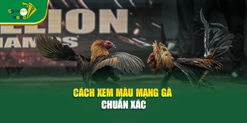 Cách xem màu mạng gà chuẩn xác