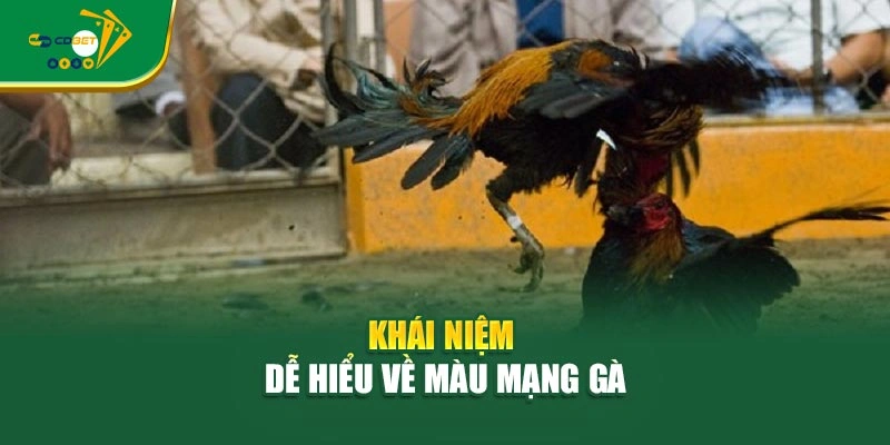 Khái niệm dễ hiểu về màu mạng gà